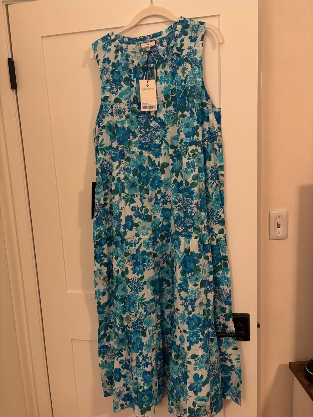Tuckernuck Blue Floral Sleeveless Maxi Dress